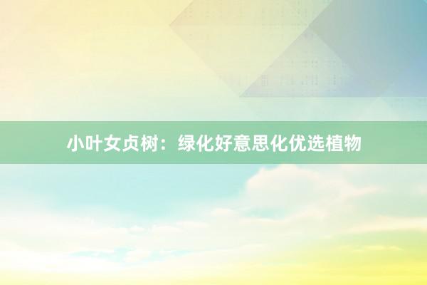小叶女贞树：绿化好意思化优选植物